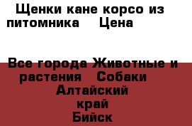 Щенки кане корсо из  питомника! › Цена ­ 65 000 - Все города Животные и растения » Собаки   . Алтайский край,Бийск г.